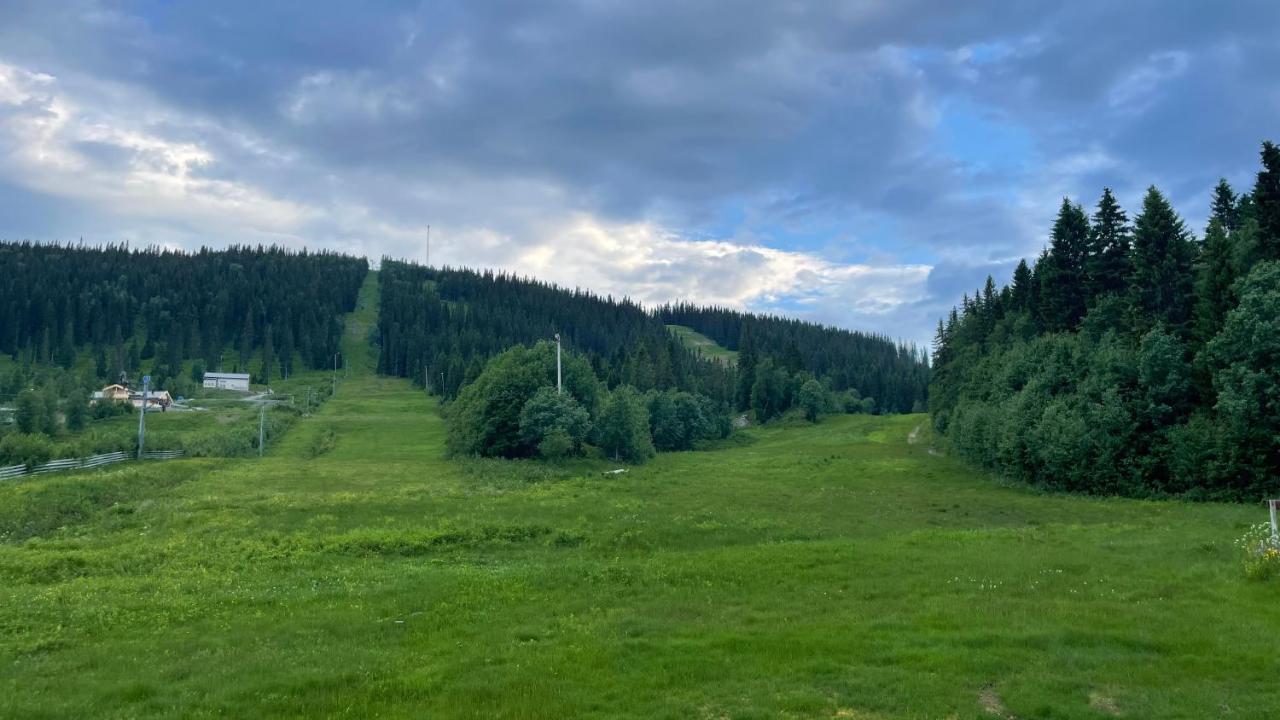 Apartamento Areskutans Laegenhet Med Laddning Foer Bil 22Kw Husa Exterior foto